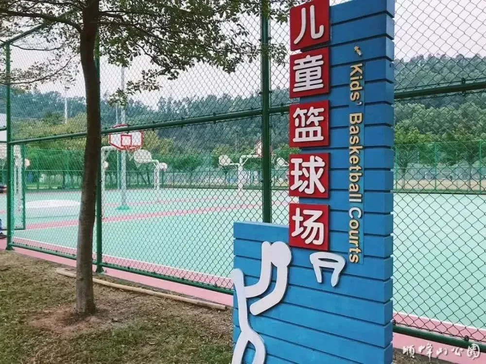 职业篮球运动员的心理调节技巧_0